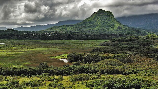 View of Mount Olomana from Kawainui Marsh, showcasing the picturesque landscape of Kailua, Oahu, Hawaii.