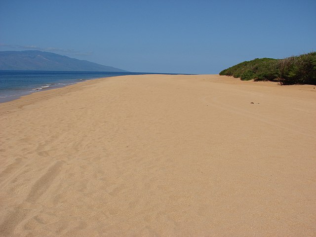 Beach view at Polihua Beach, Lanai, Hawaii. Photo by Forest & Kim Starr, licensed under Creative Commons Attribution 3.0 United States license.